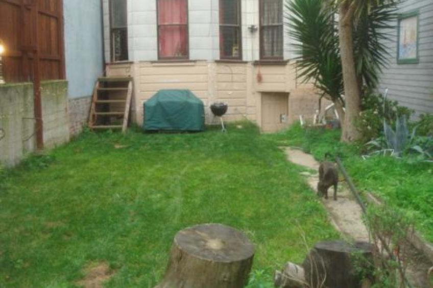 Backyard looking toward building Resource #242319: image #13