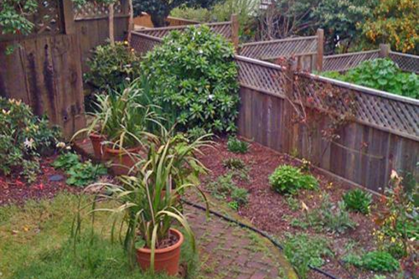 Garden Resource #244301: image #25