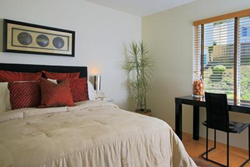 Resource #250181: image #12