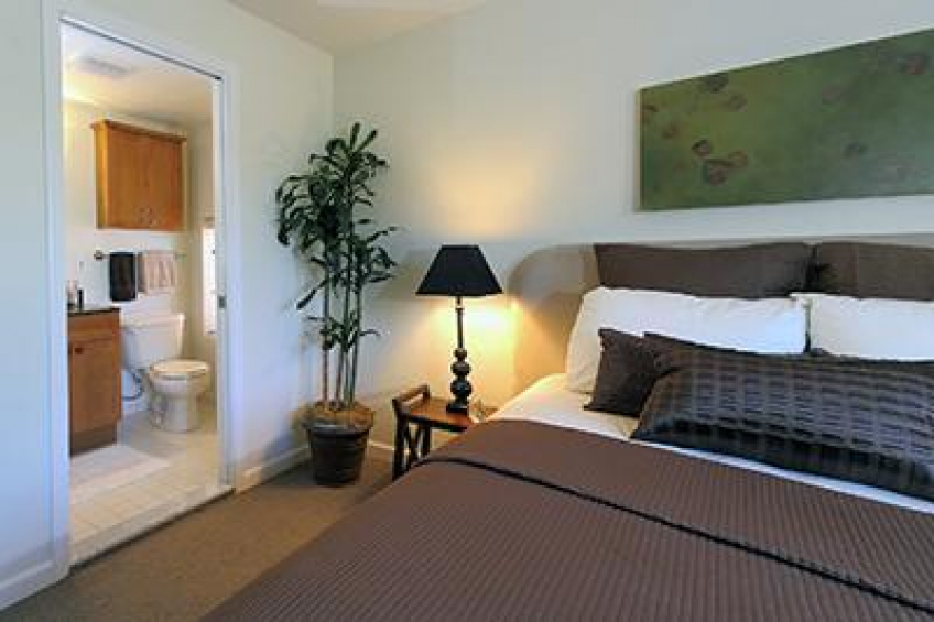 Resource #250181: image #17