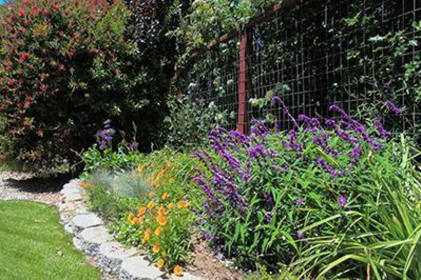 Resource #250181: image #21