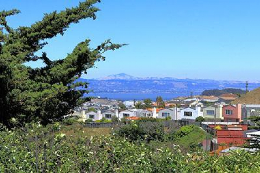 Resource #250181: image #23