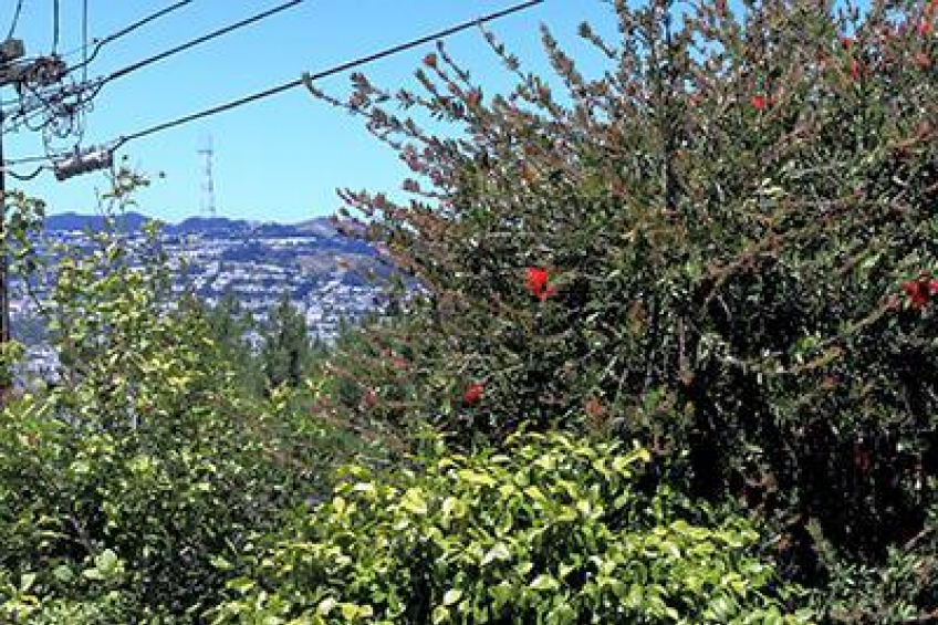 Resource #250181: image #24