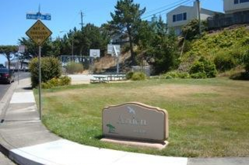 Resource #250181: image #26