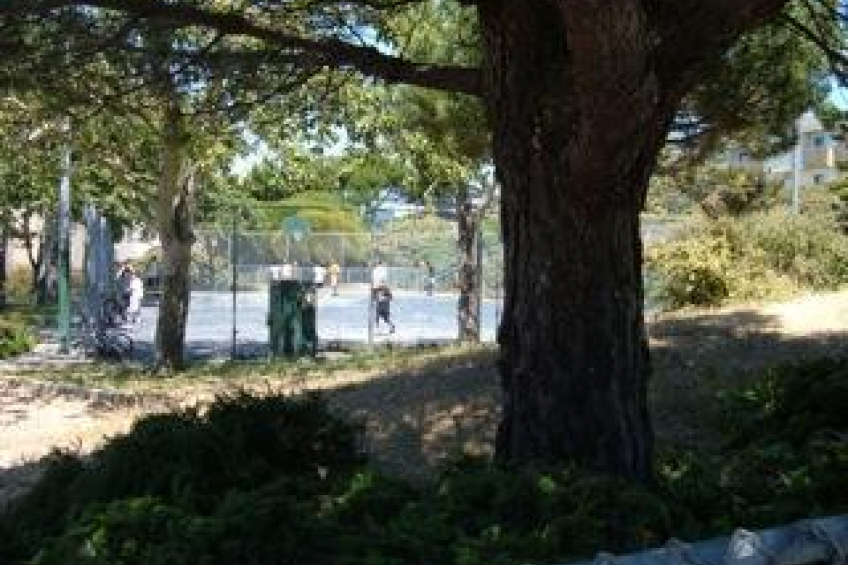 Resource #250181: image #28