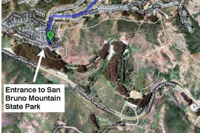 Resource #250181: image #31