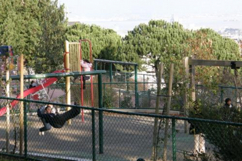 Resource #255570: image #14 Resource #255570: image #14