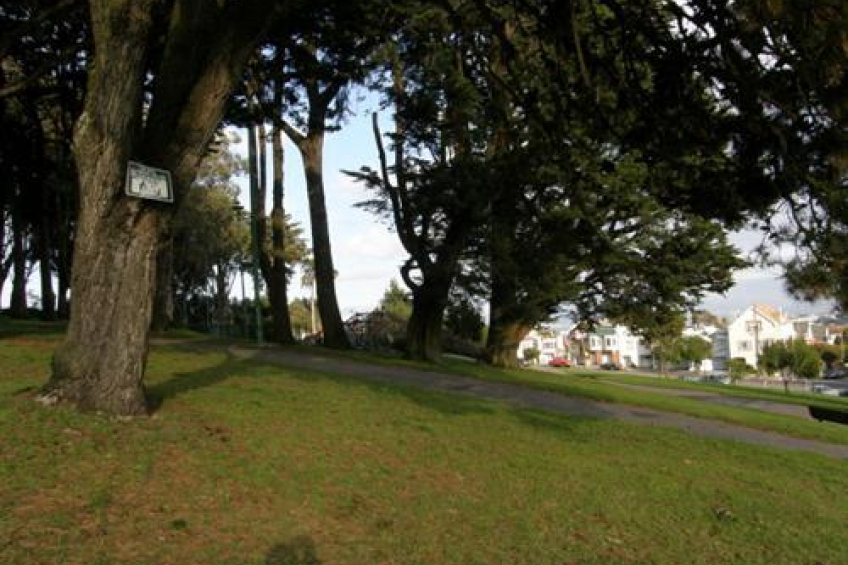 Resource #255570: image #16 Resource #255570: image #16