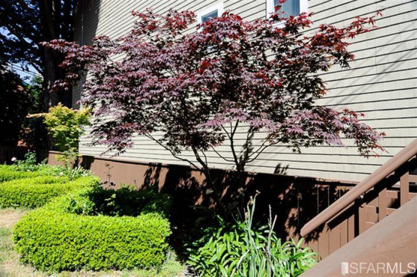 Resource #281501: image #11 Resource #281501: image #11