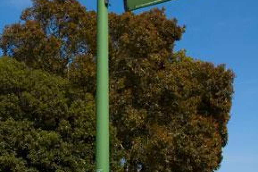 Resource #285650: image #27