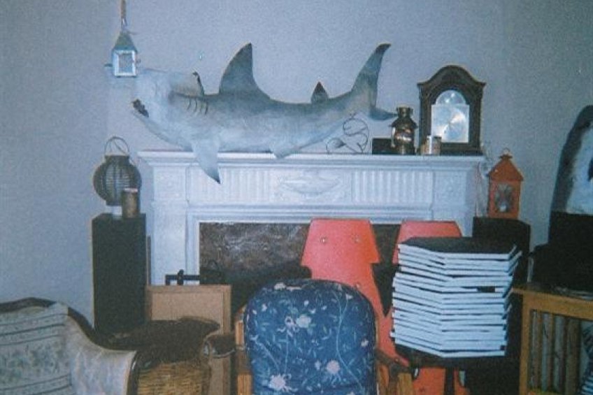 Resource #297443: image #3 Resource #297443: image #3