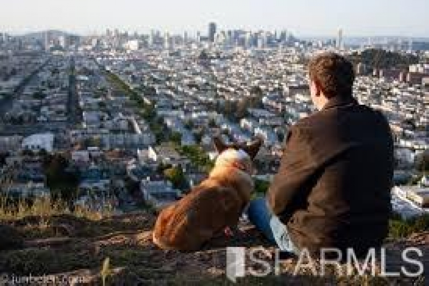 Bernal Hill is a great place to walk your dog or just enjoy the views. Resource #302227: image #20