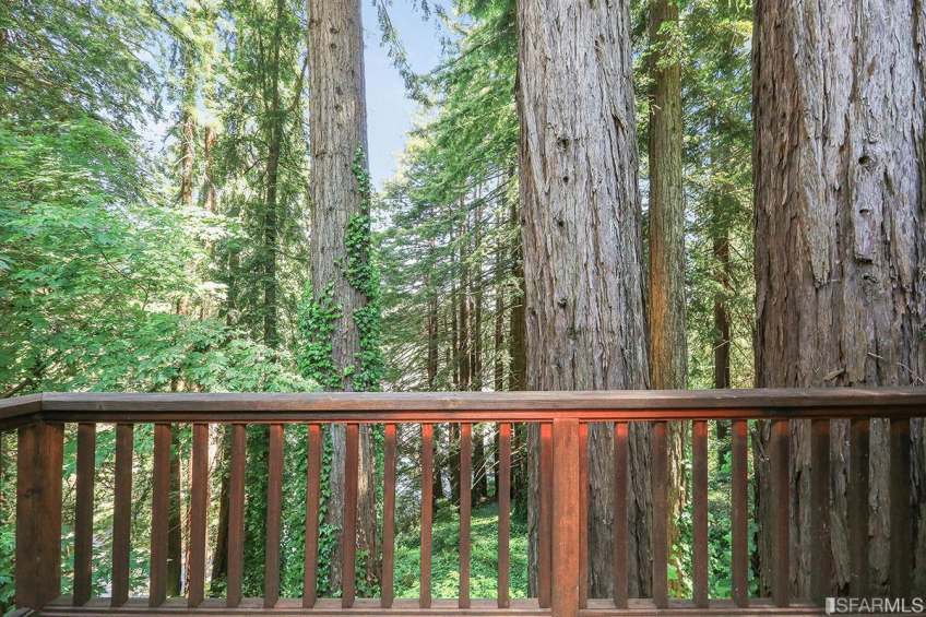 Resource #314834: image #22 Resource #314834: image #22