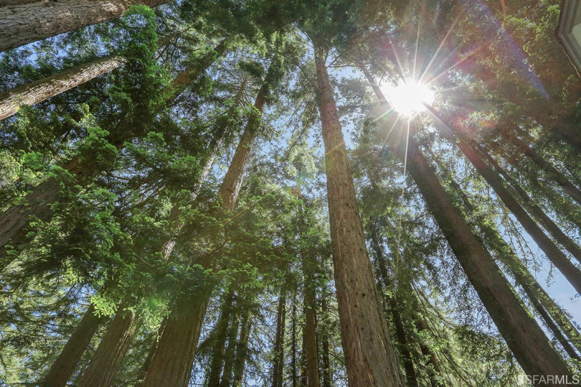 Resource #314834: image #24 Resource #314834: image #24