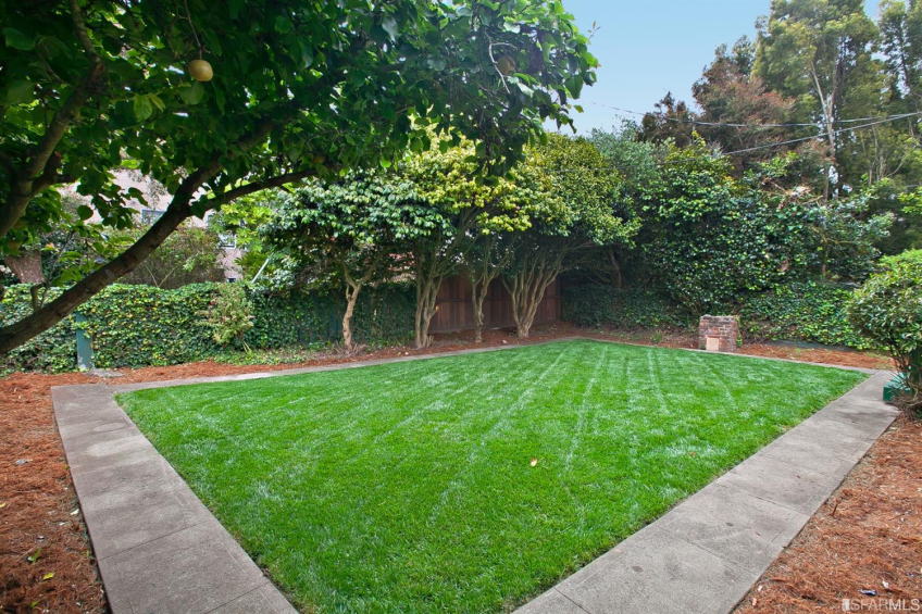 Resource #317569: image #36