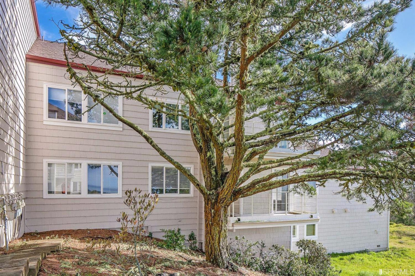 Resource #322745: image #7