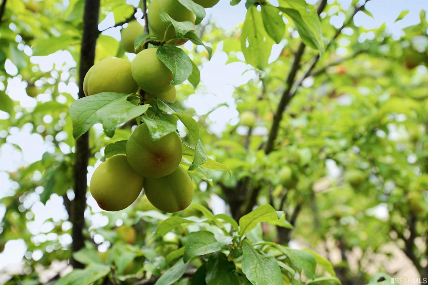 Resource #326845: image #31