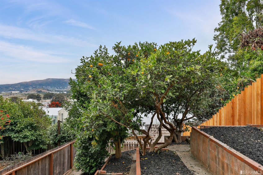 Resource #341407: image #33 Resource #341407: image #33