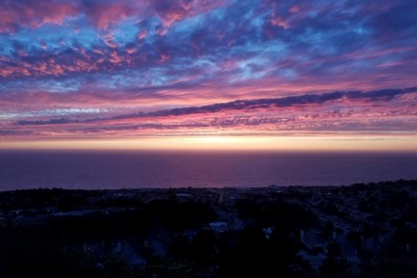 Resource #350267: image #49