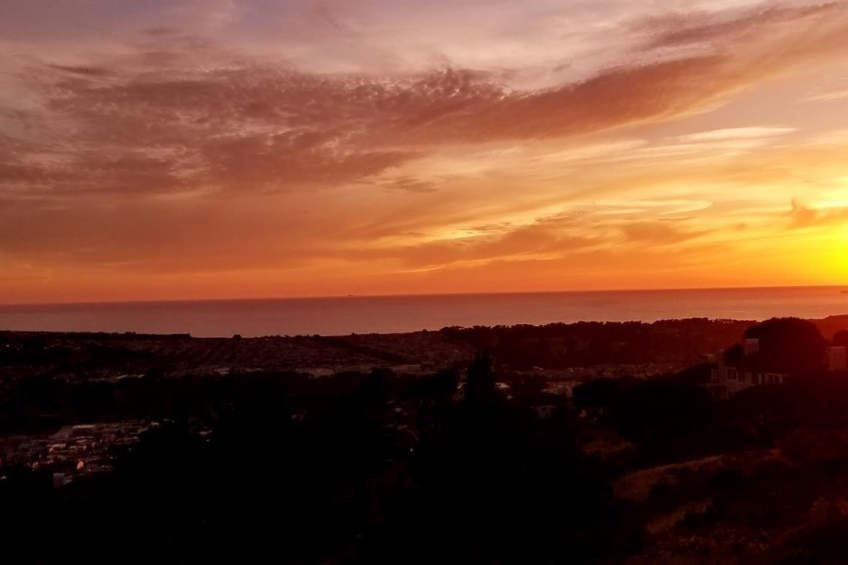 Resource #354226: image #9