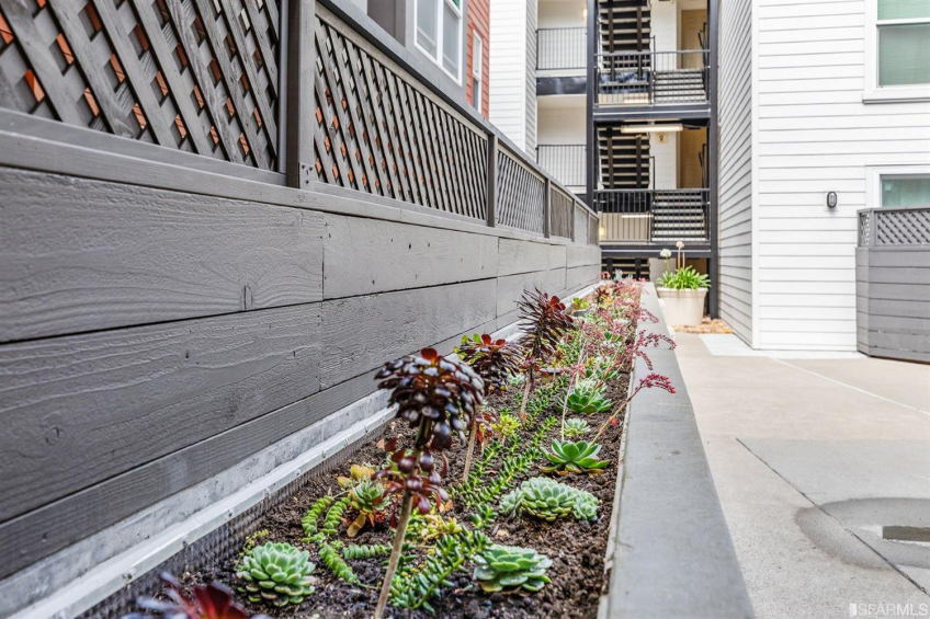 Resource #354847: image #23