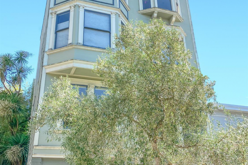 Resource #368451: image #1