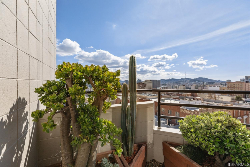 Resource #530172544: image #6