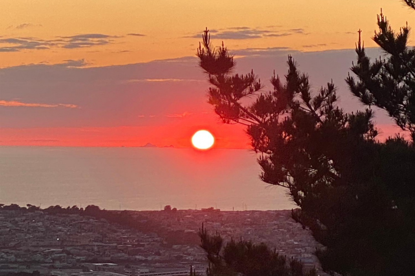 Resource #530341255: image #36