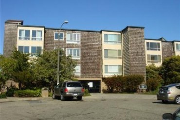 Resource #237239: image #1